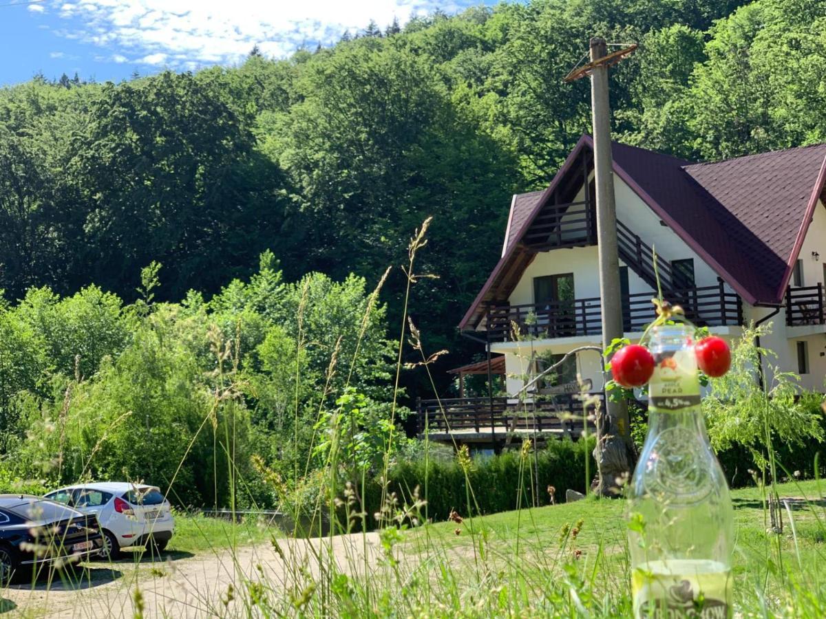 Havva Hotel Calimanesti Exterior photo
